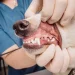 no-sedation teeth cleaning