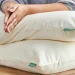 Waterproof Pillow Protector