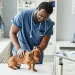 veterinary