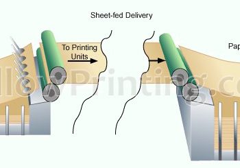 Offset Sheet Proof System