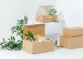 Compostable Cartons