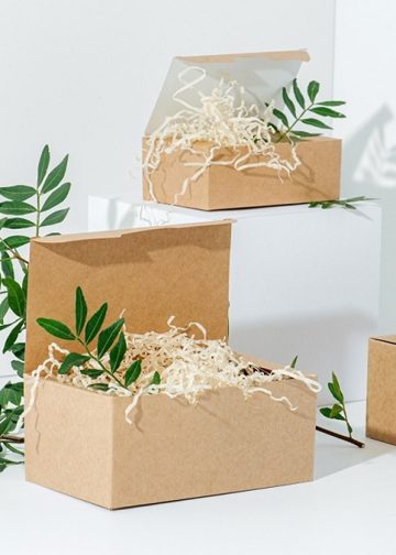 Compostable Cartons