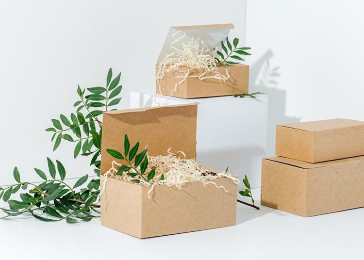 Compostable Cartons