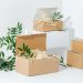 Compostable Cartons