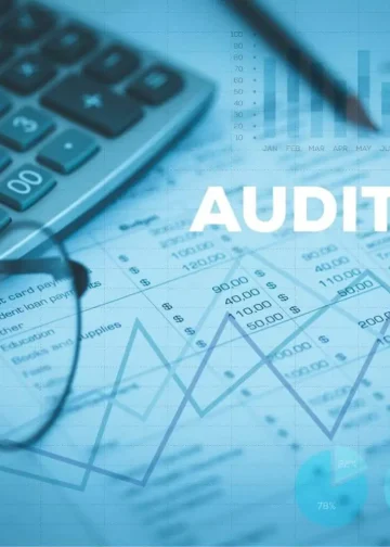 Audit Firm